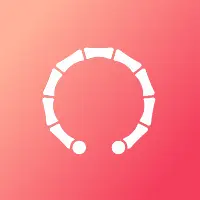 Bangle category icon